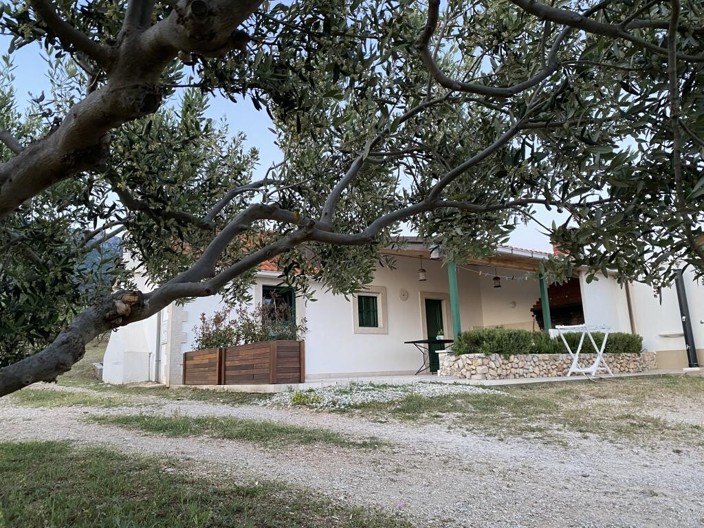 Image 3813787 - 6