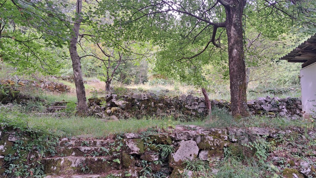 Image 5429440 - 11