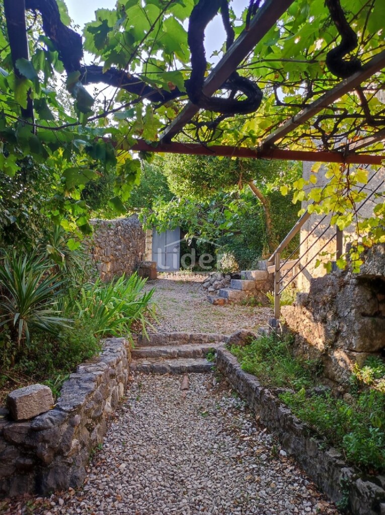 Image 24