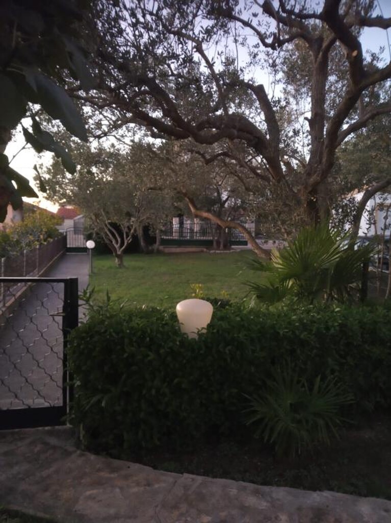 Image 3811866 - 33