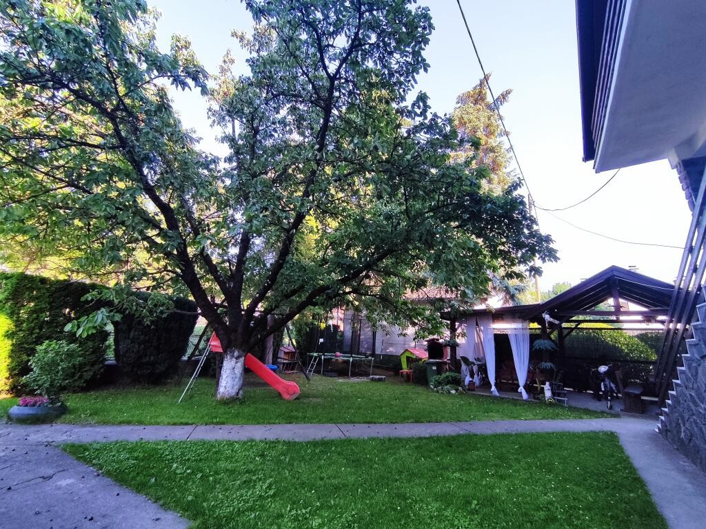 Image 15