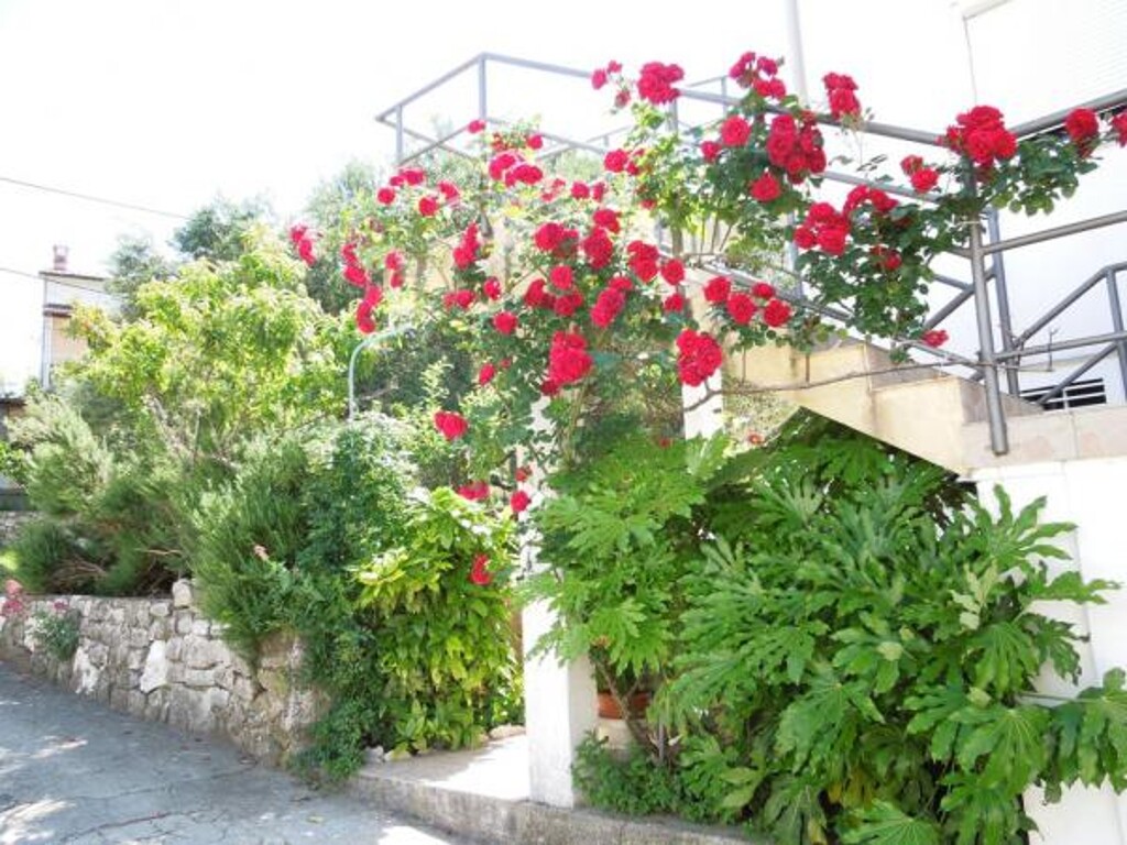 Image 3821695 - 7