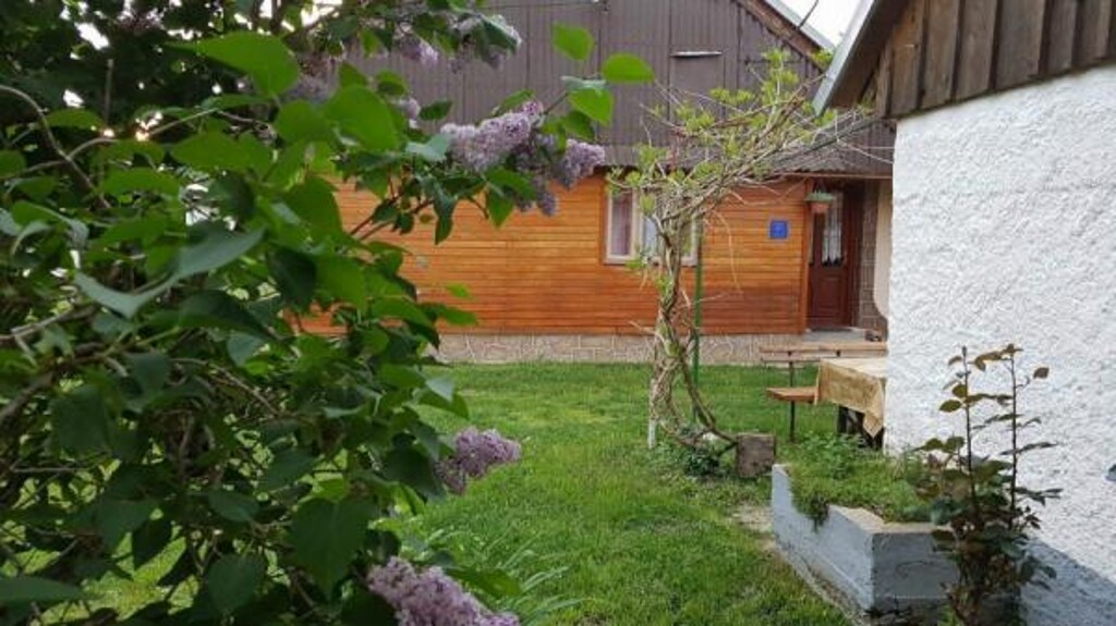 Image 3823675 - 5