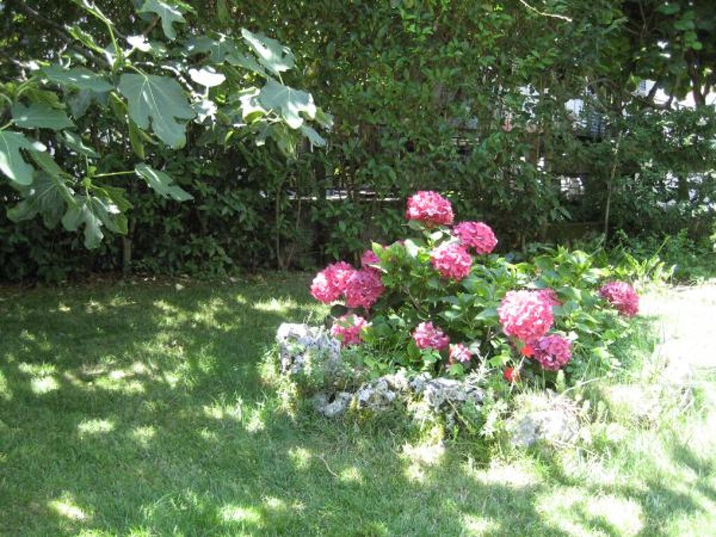 Image 3811230 - 5