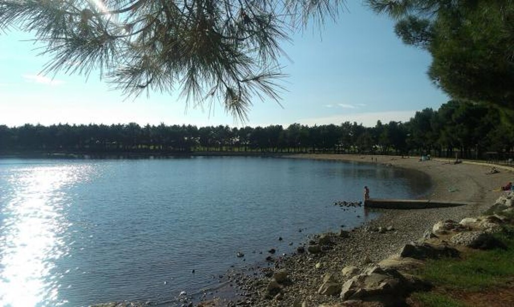 Image 3811473 - 11