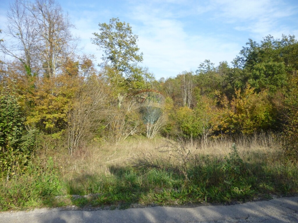 Image 5411141 - 5