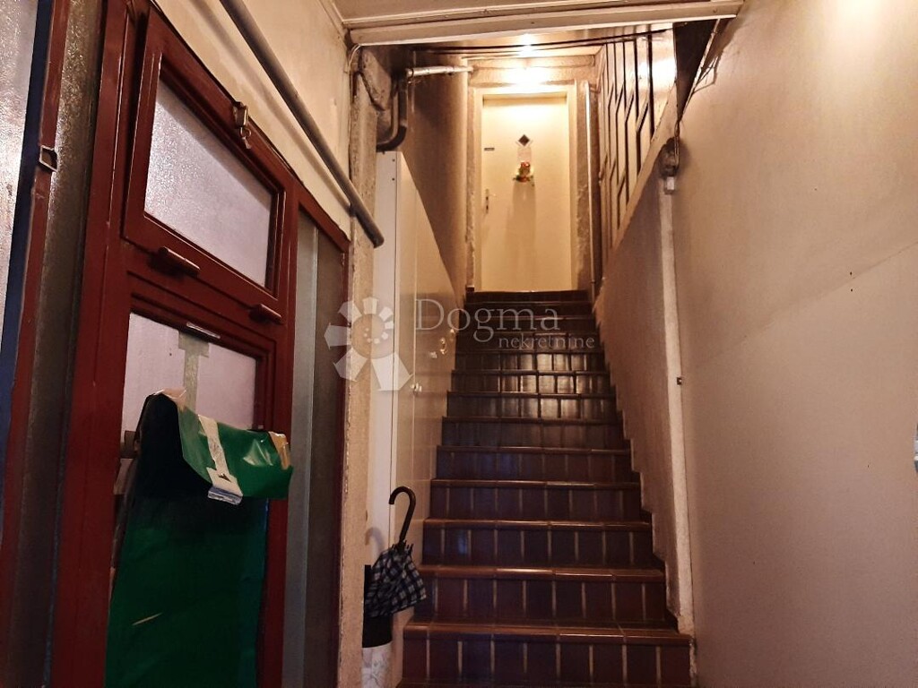 Image 13