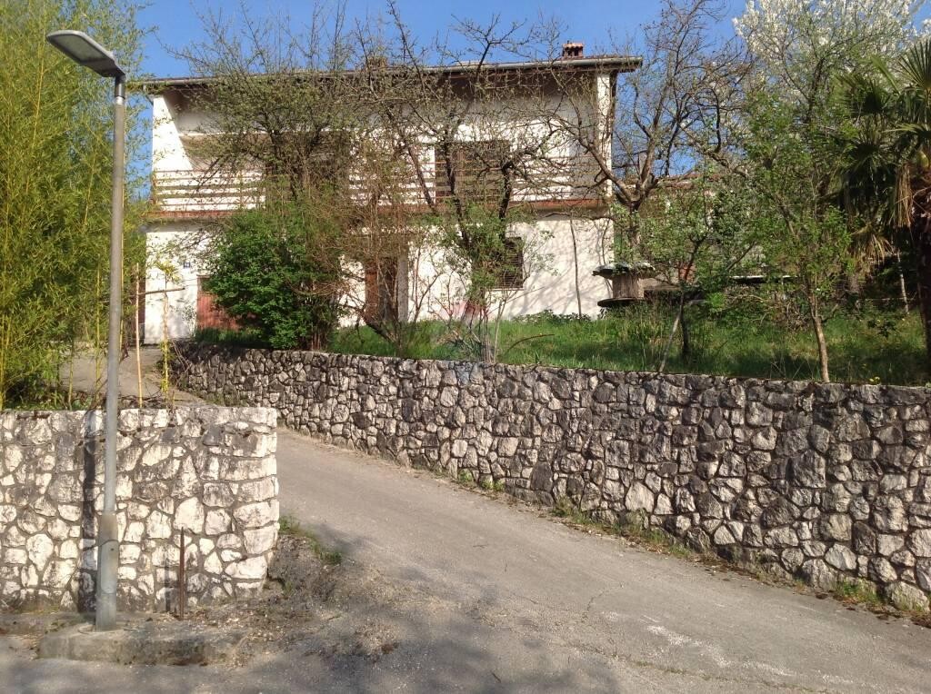 Image 5426686 - 1