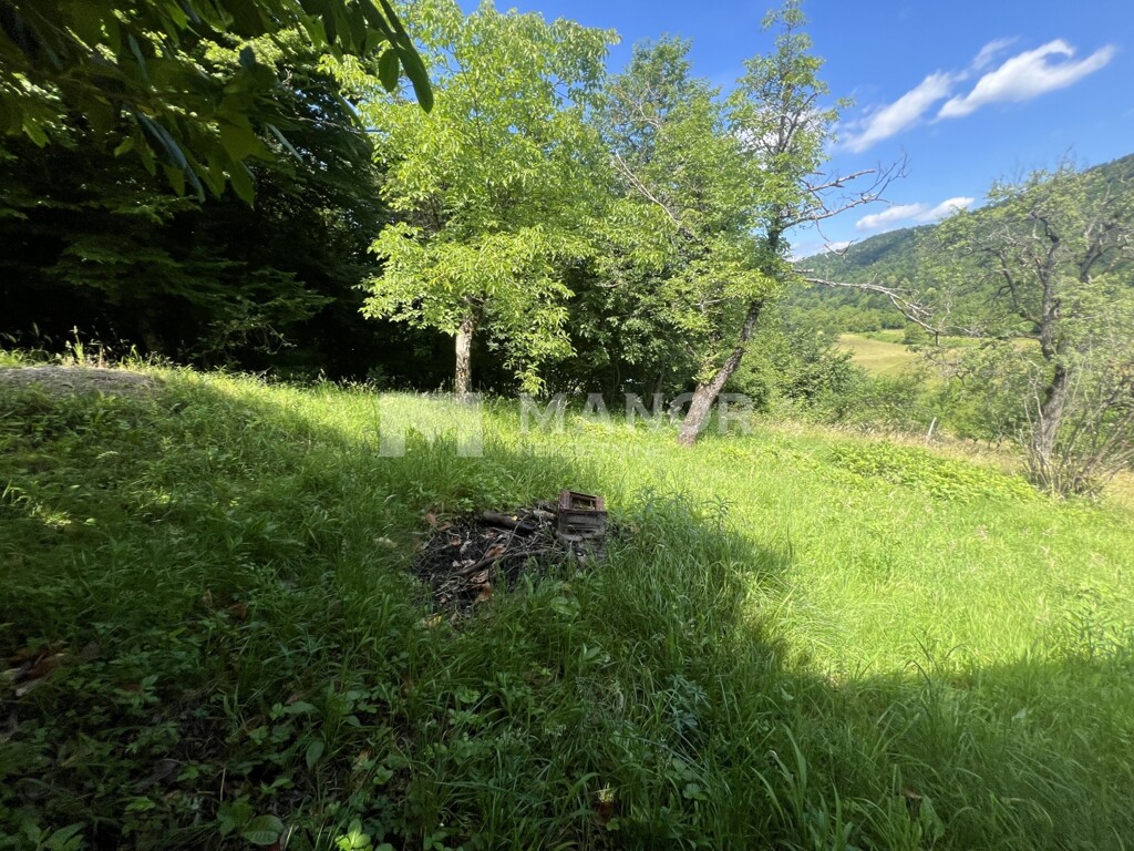 Image 15
