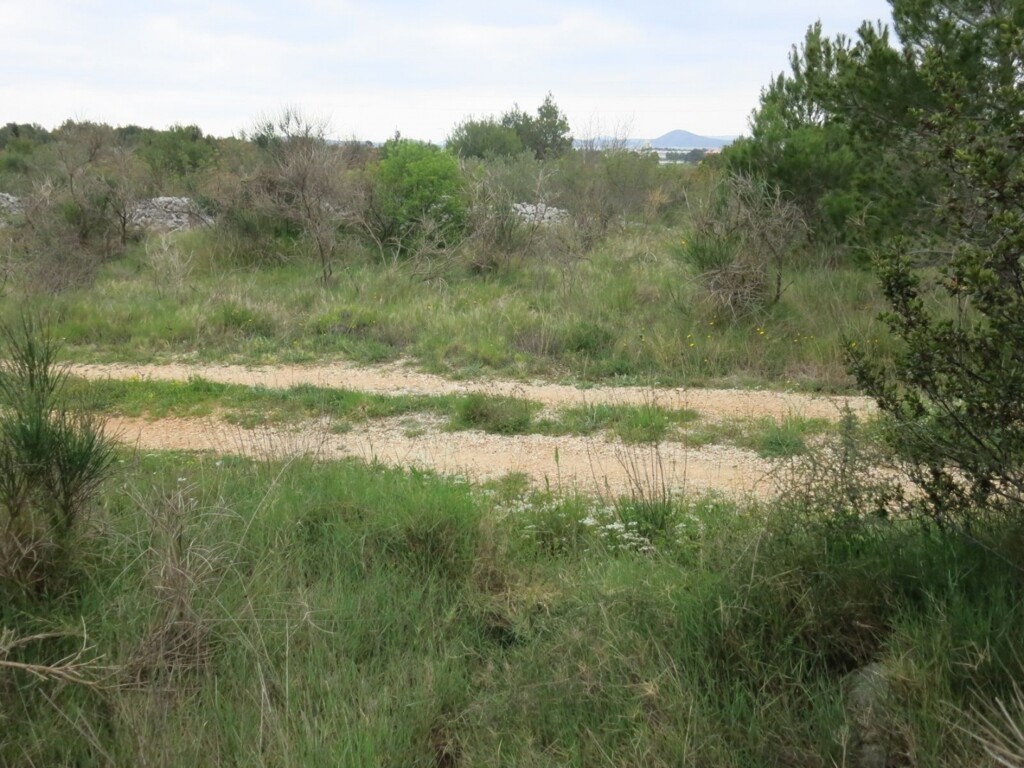 Image 4950662 - 6