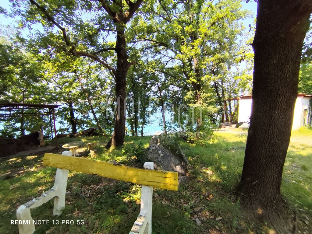Image 6109096 - 1