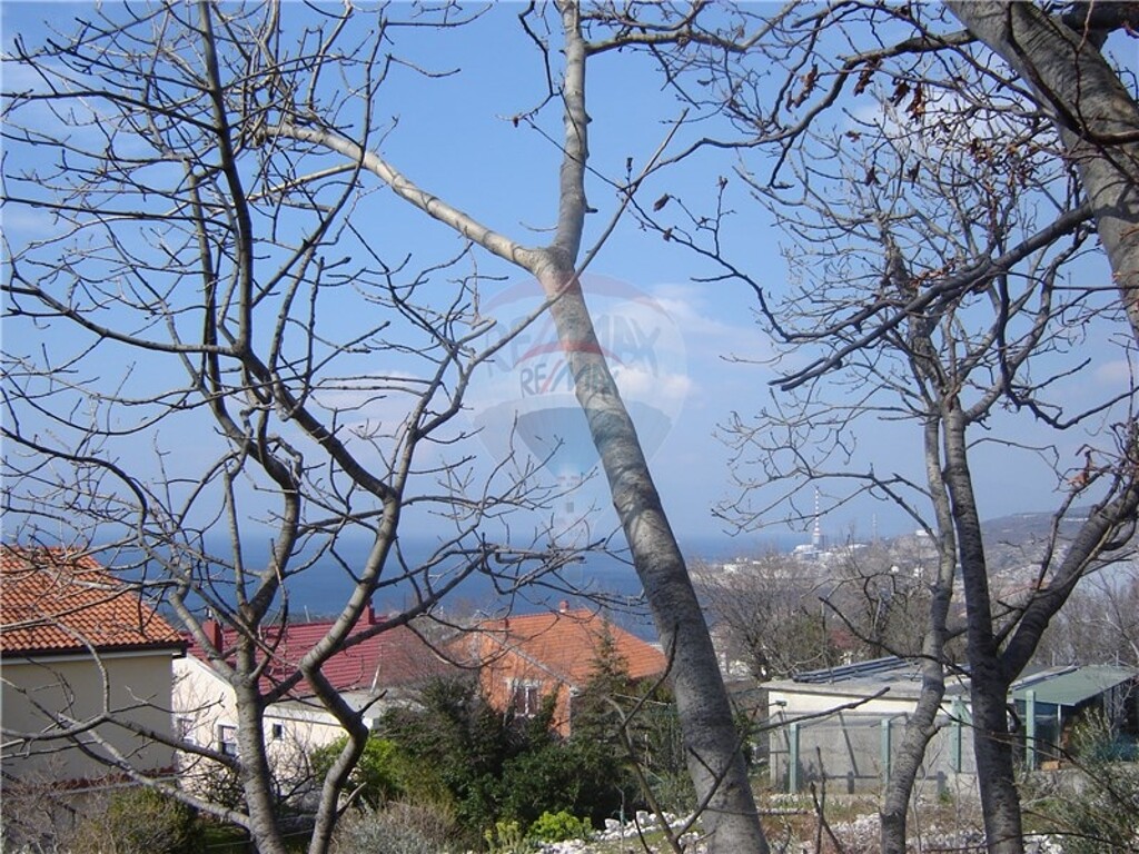 Image 5411066 - 1