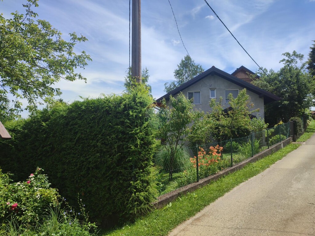 Image 20