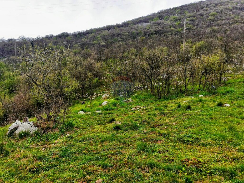 Image 5430056 - 3