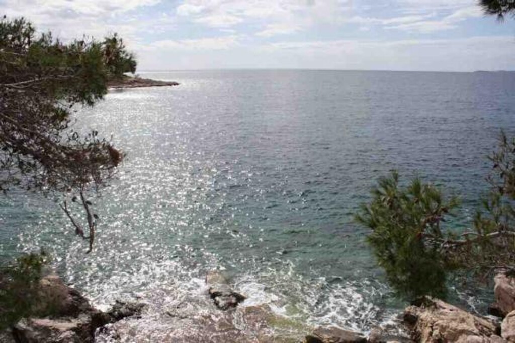 Image 3812000 - 6