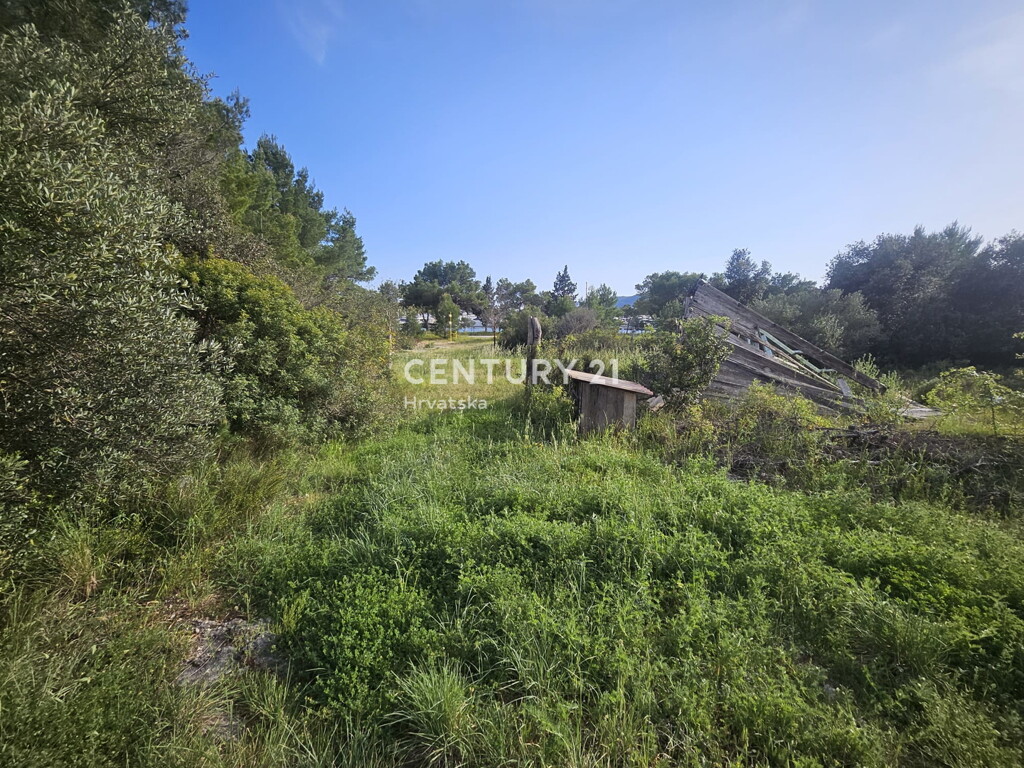 Image 12
