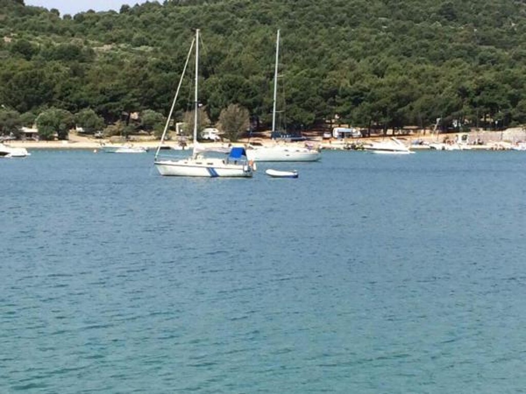 Image 3813608 - 11