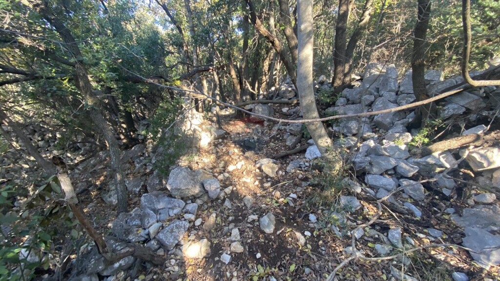 Image 12