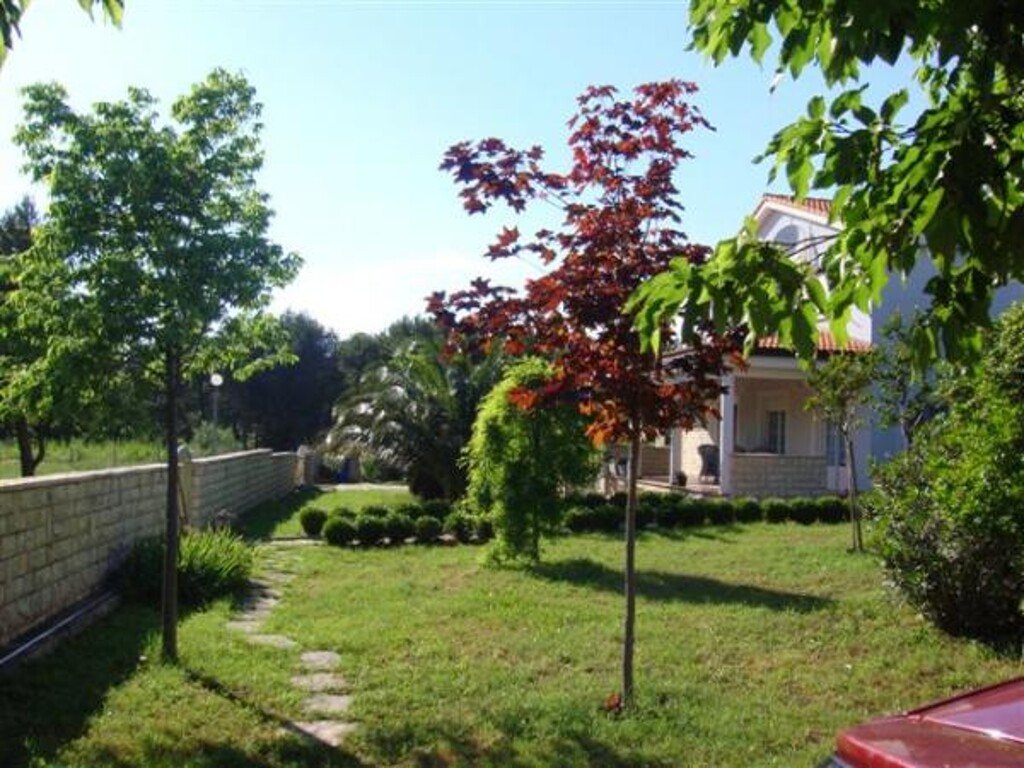Image 3811241 - 7