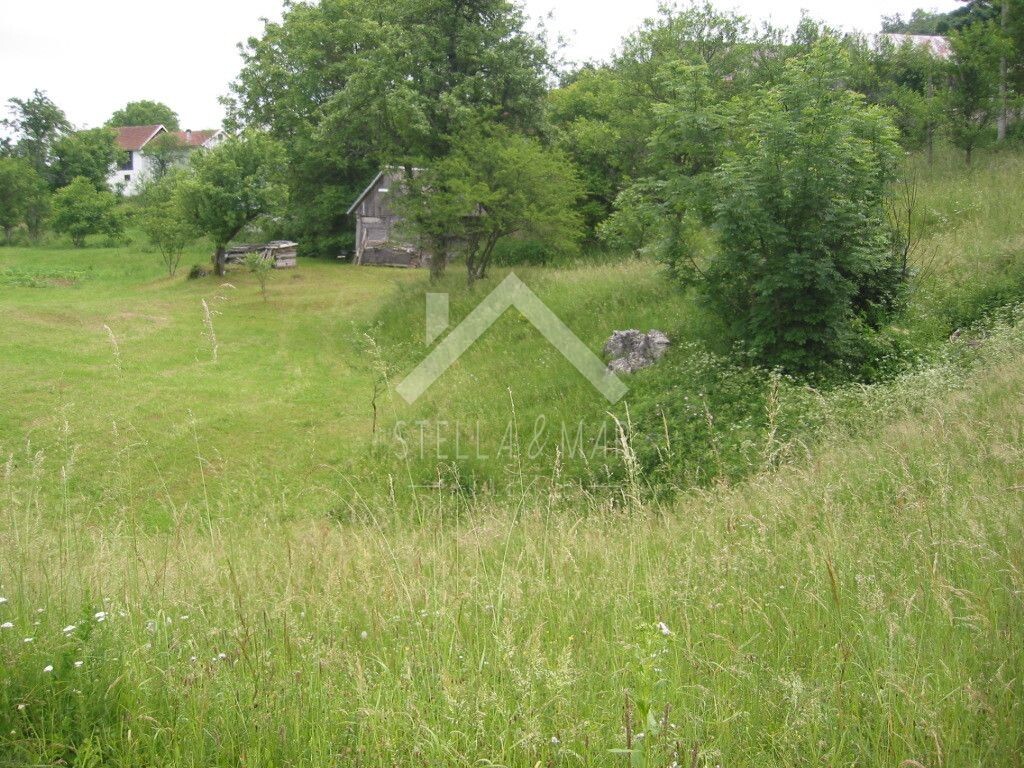 Image 5195037 - 14