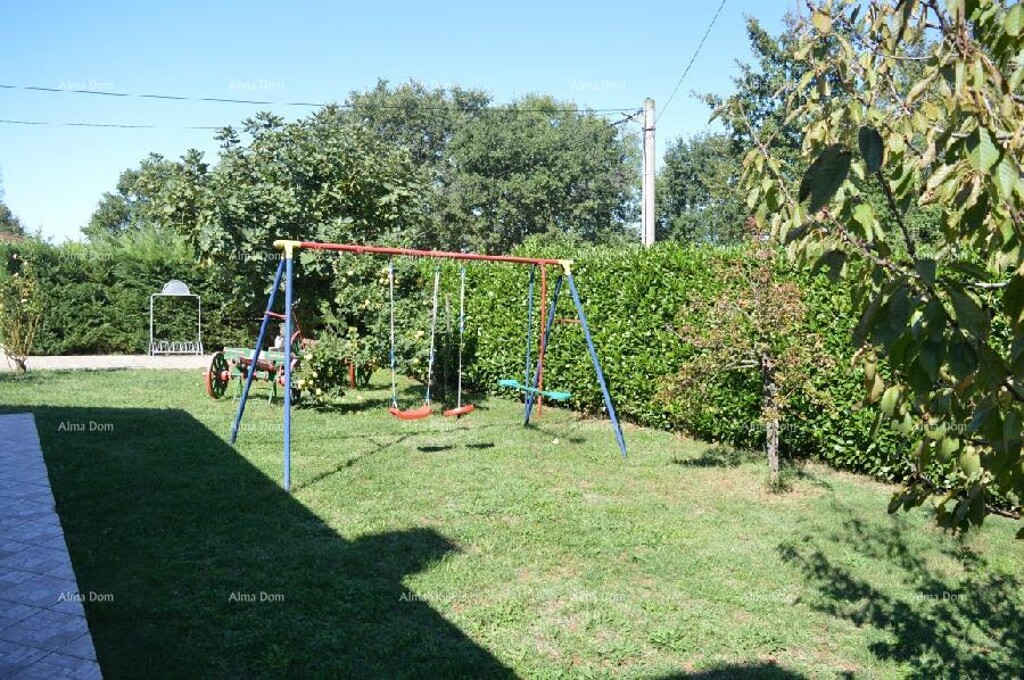 Image 6205183 - 36