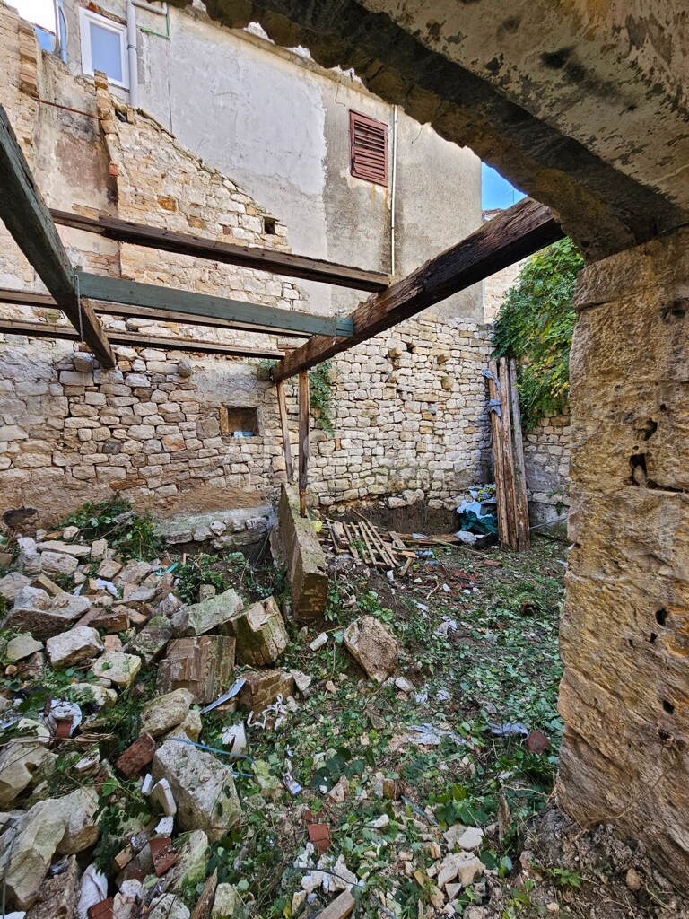 Image 13