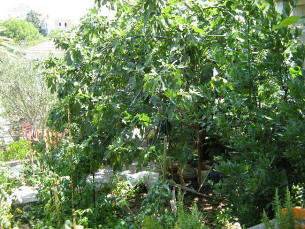 Image 3811872 - 12