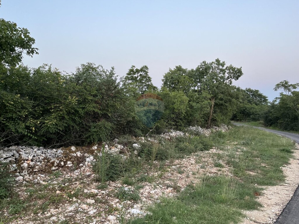 Image 5429508 - 1