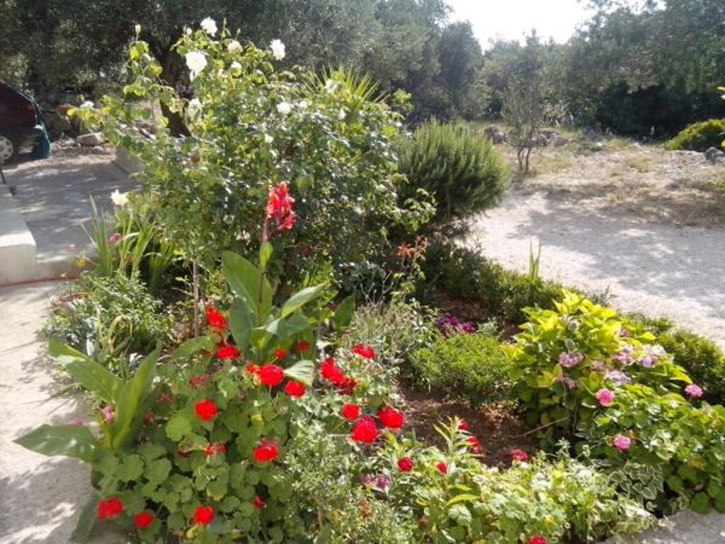 Image 3810735 - 3