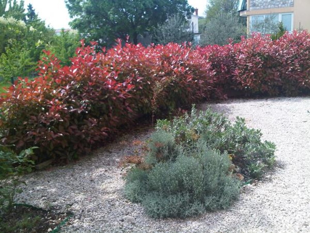 Image 3815123 - 4