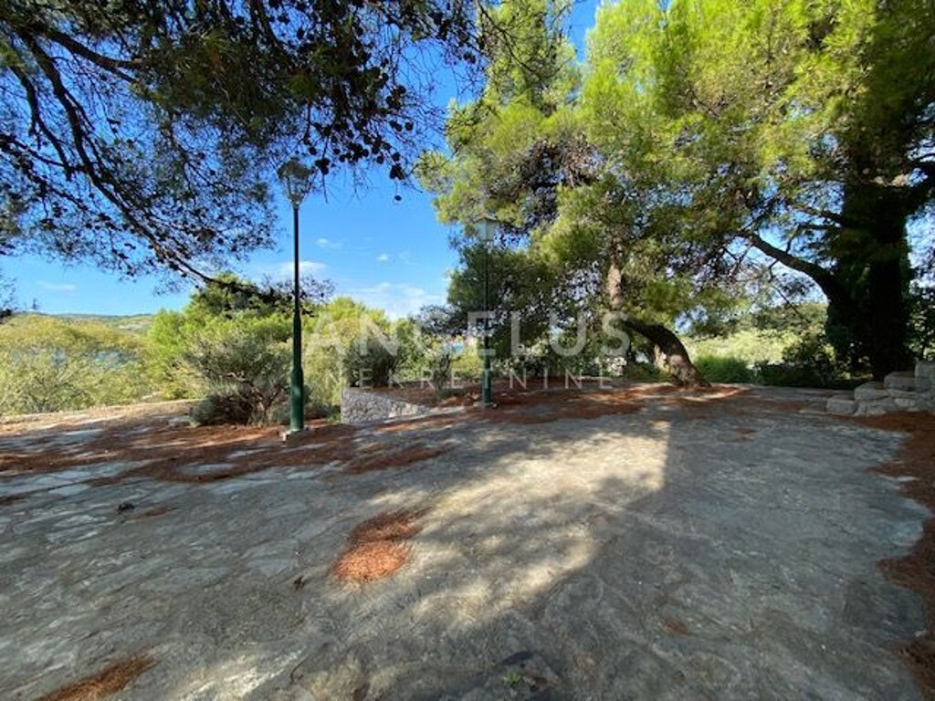 Image 6208777 - 3