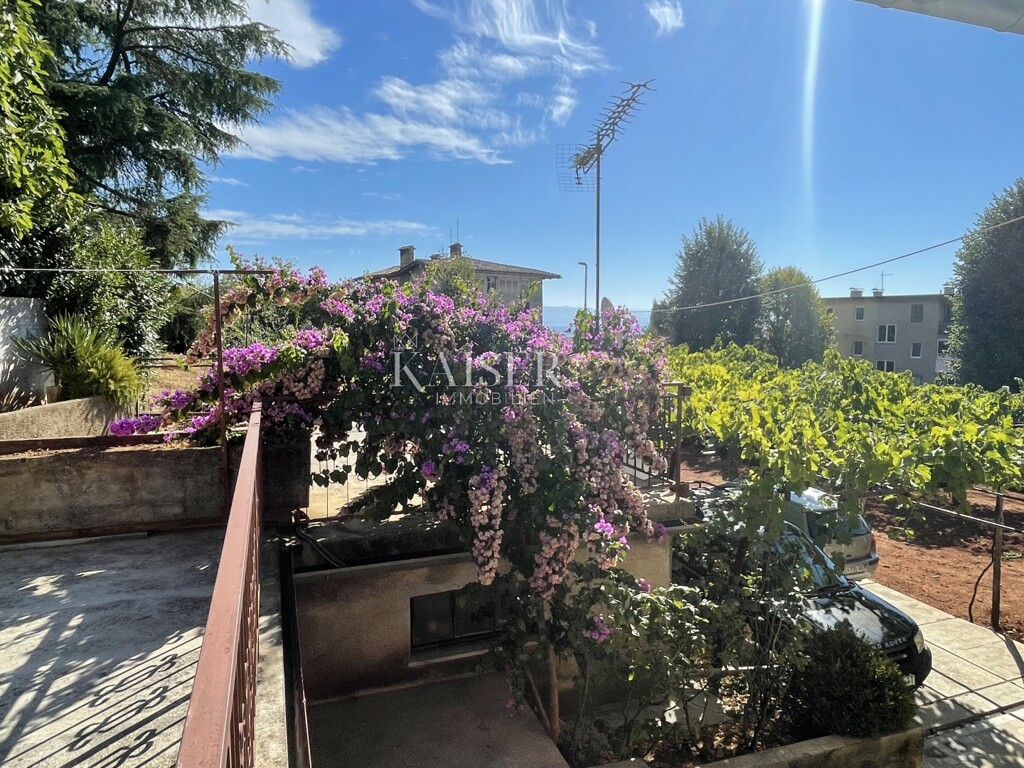 Image 15