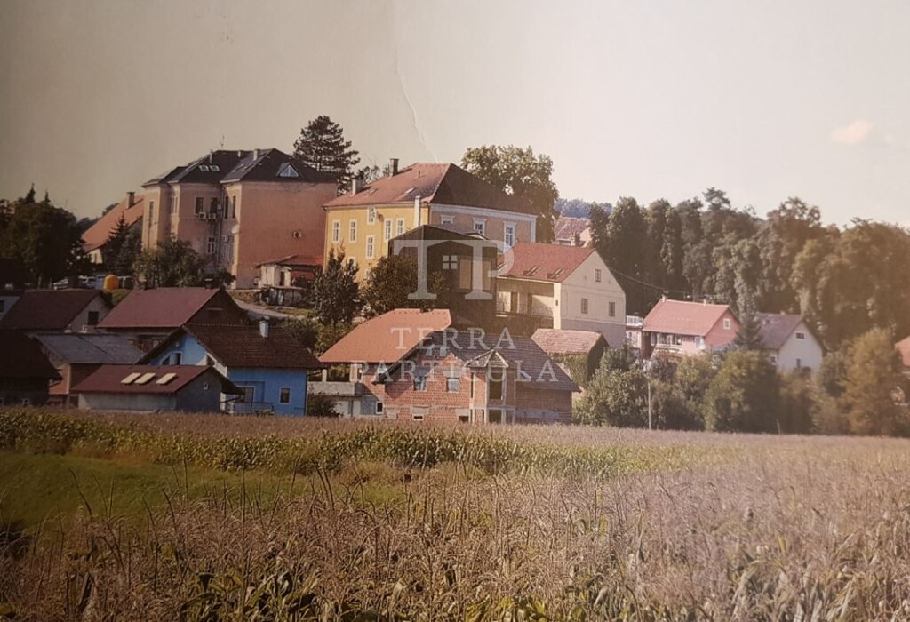 Image 12