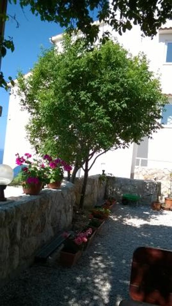 Image 3813448 - 7