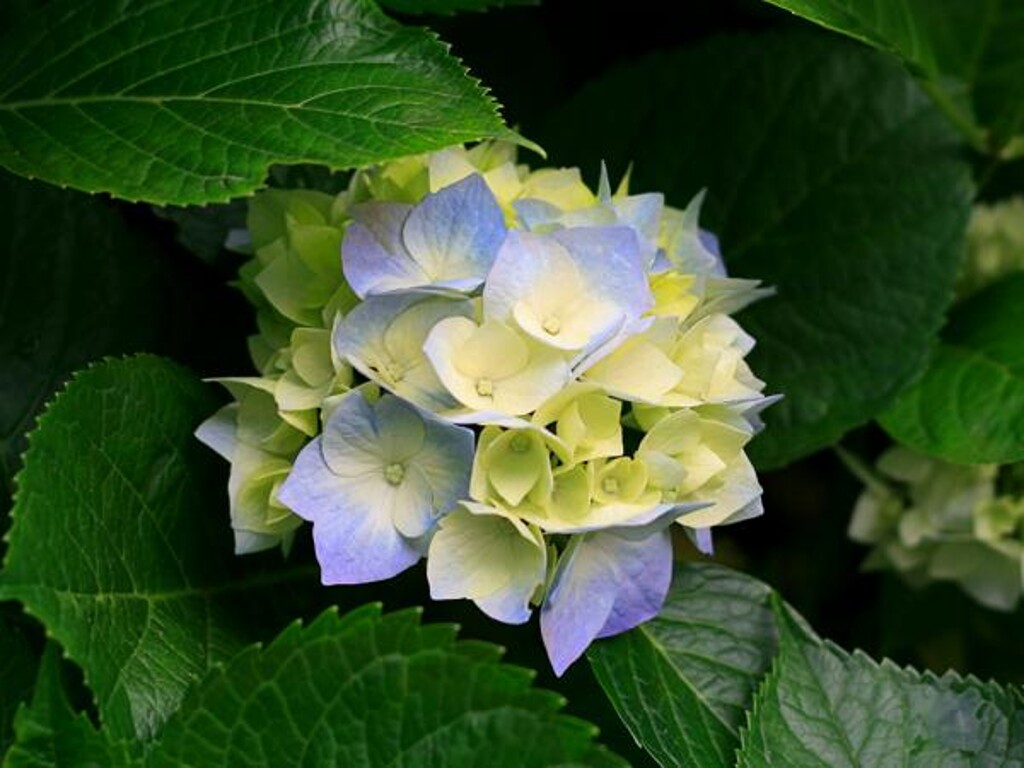 Image 3814218 - 1