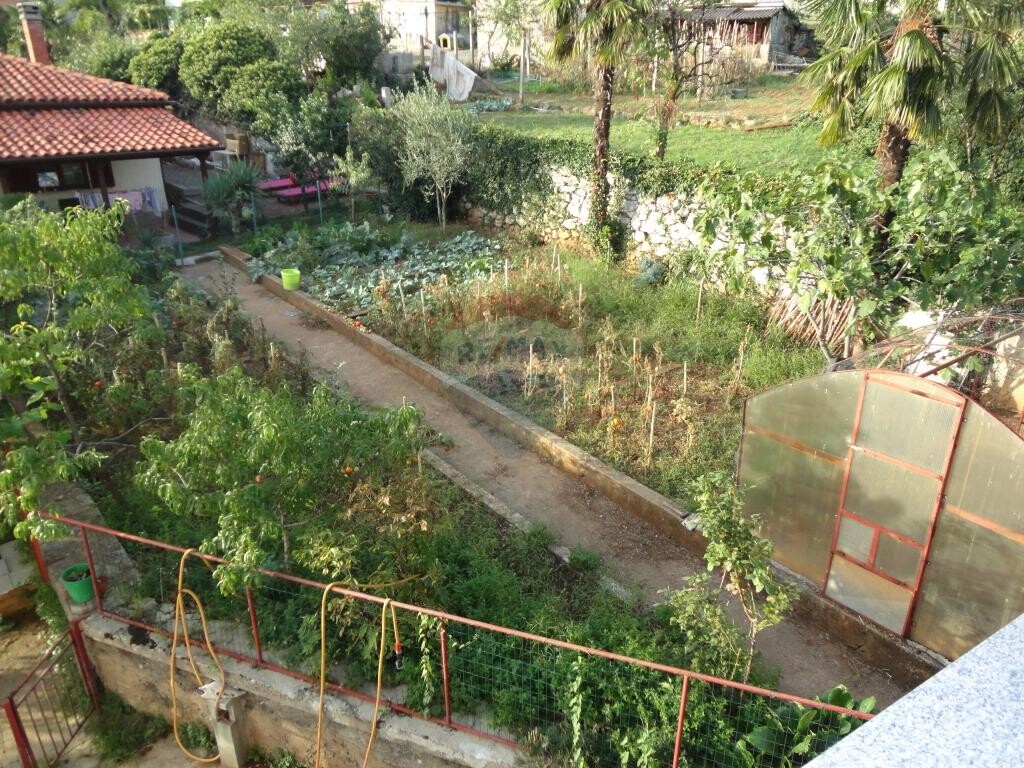 Image 5410830 - 12