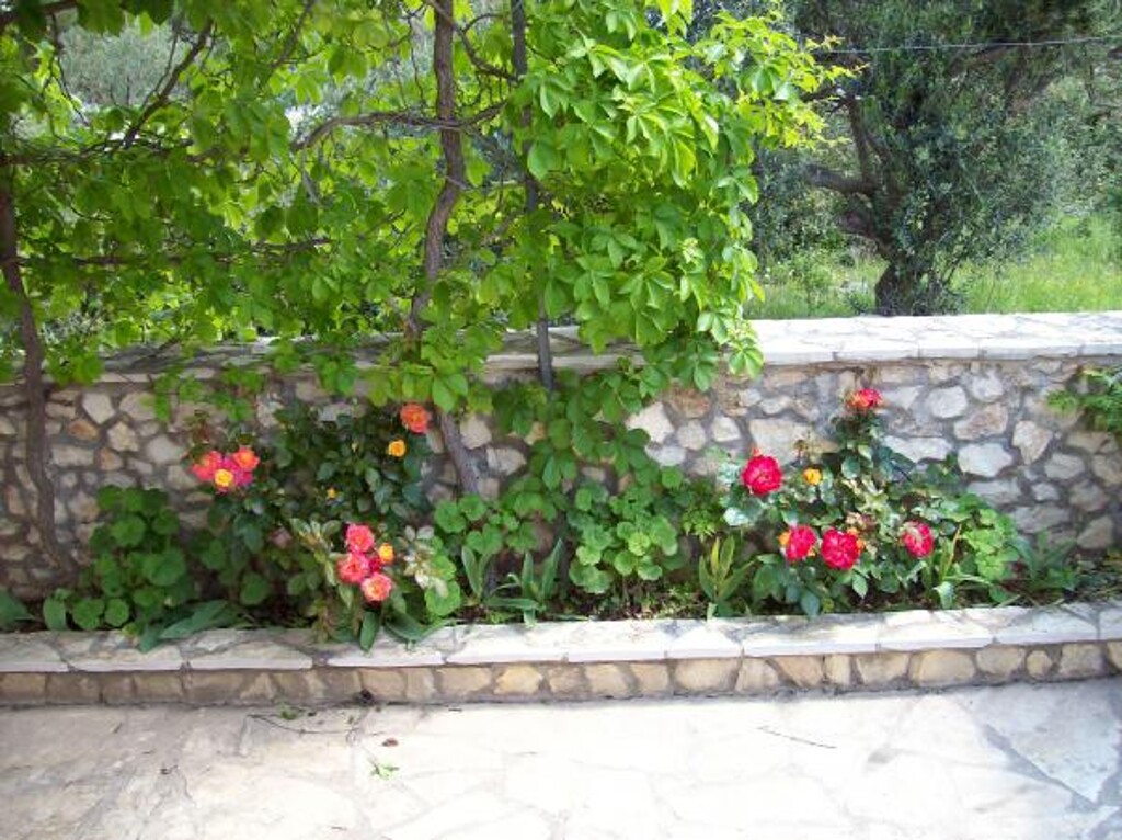 Image 3838995 - 28