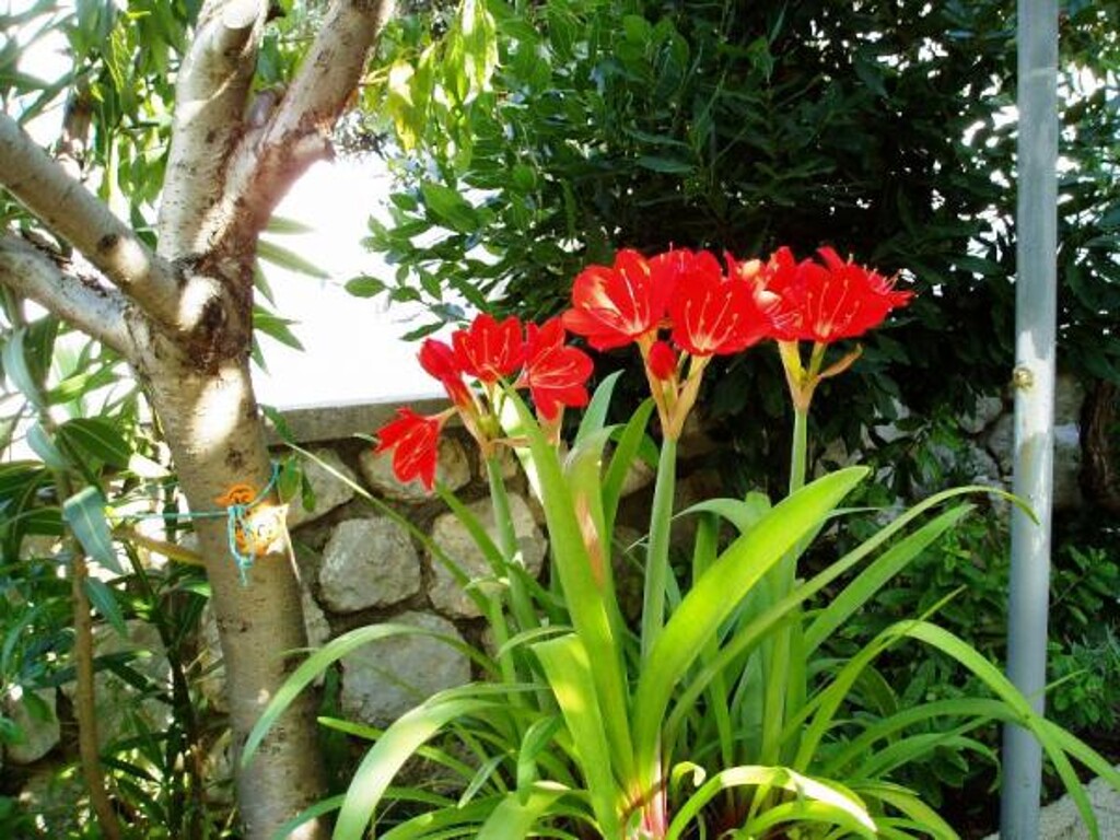 Image 3810555 - 8