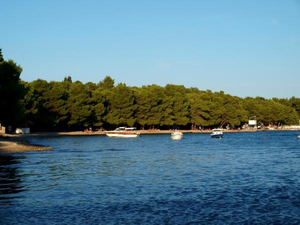 Image 3813150 - 14