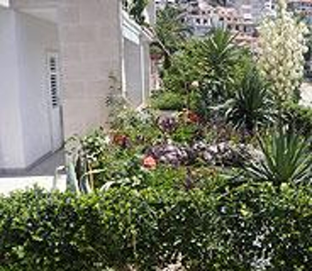 Image 3811707 - 5