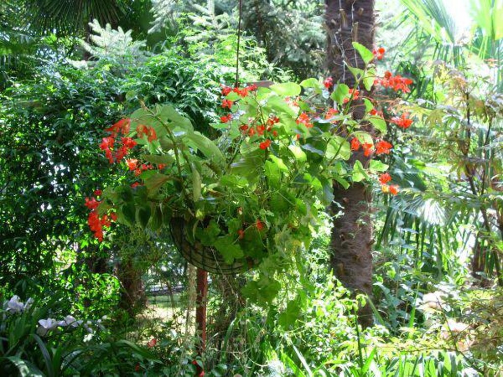 Image 3812579 - 5