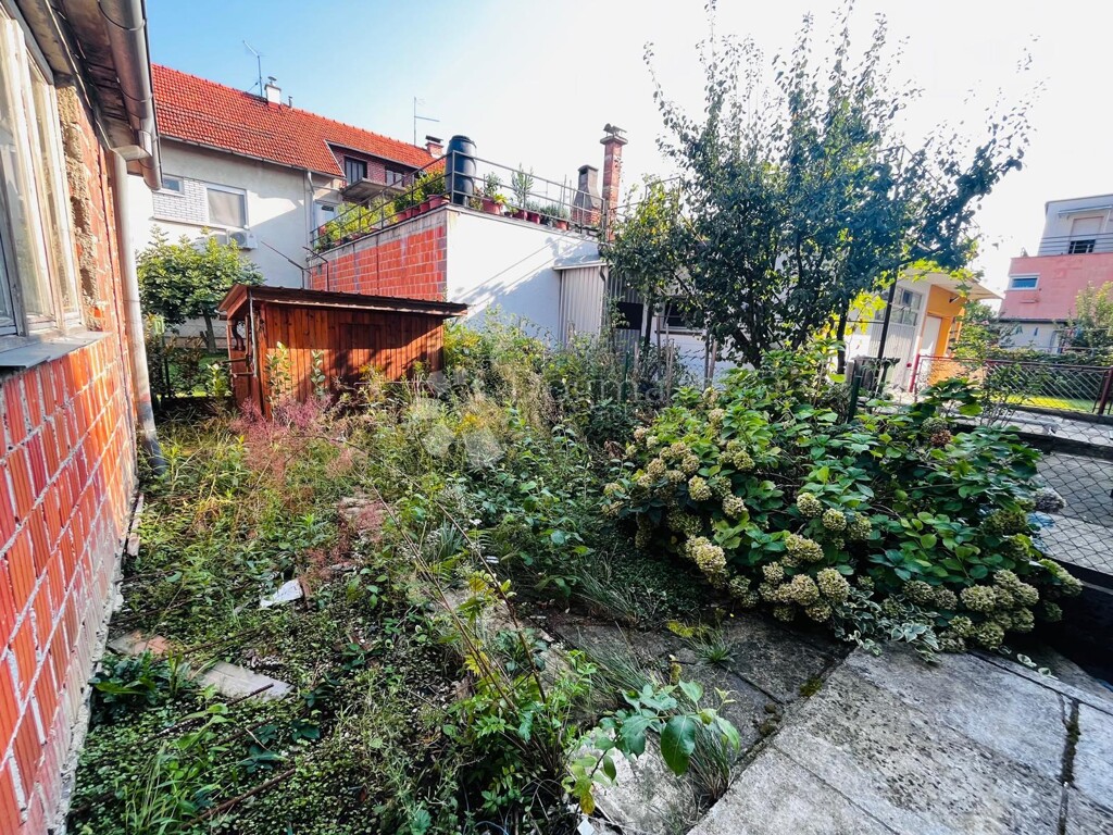 Image 15