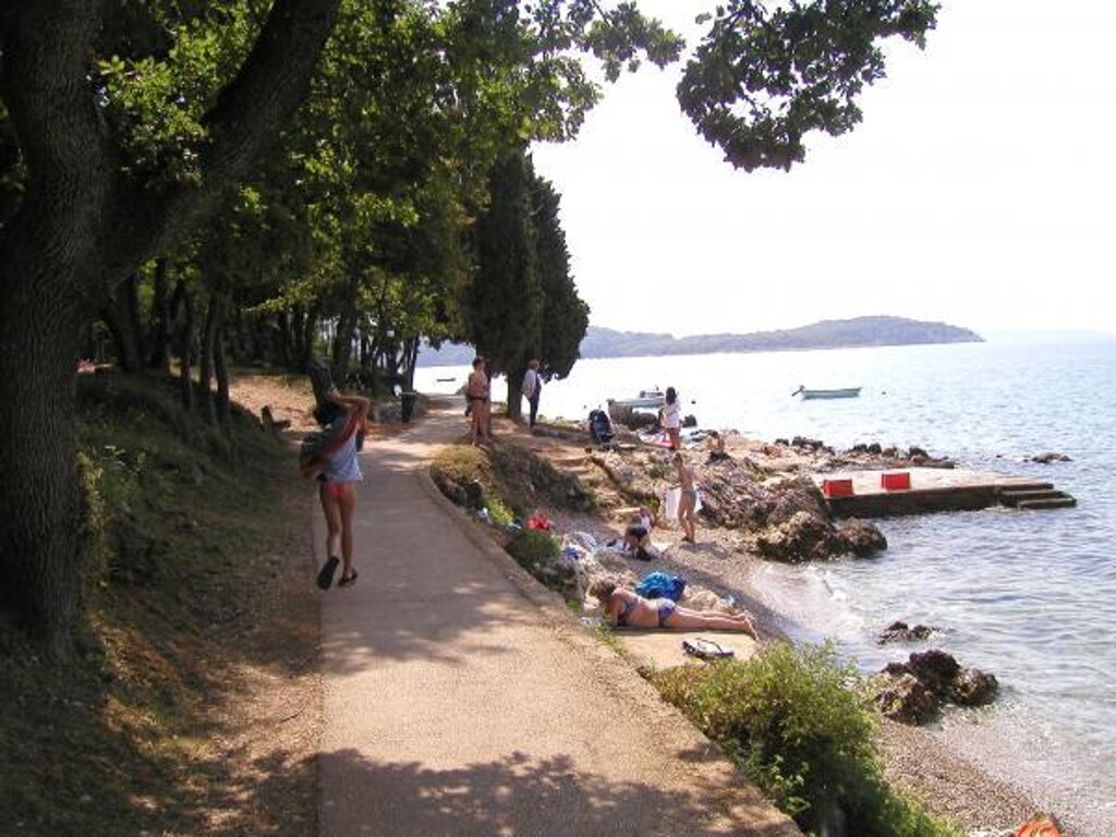Image 3838457 - 2