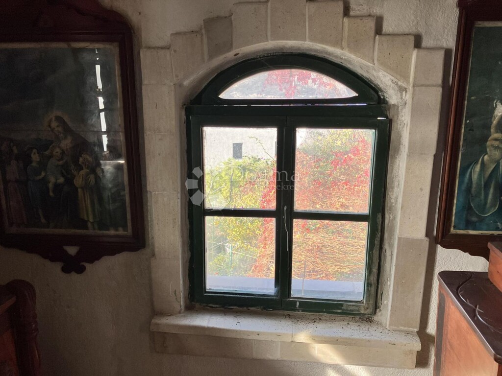 Image 13