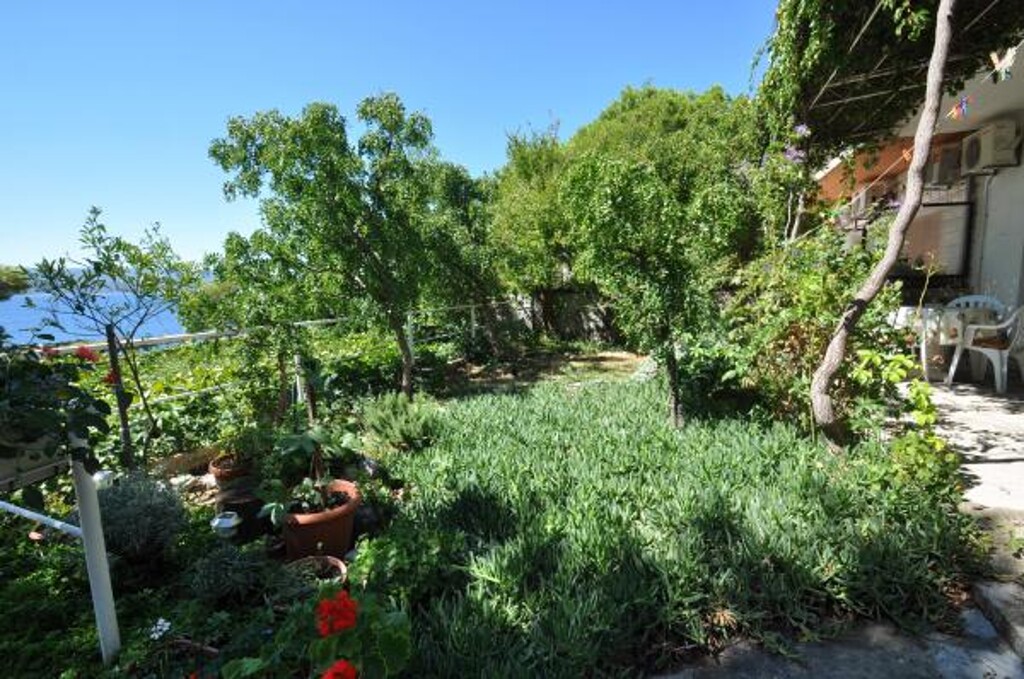 Image 3812775 - 3