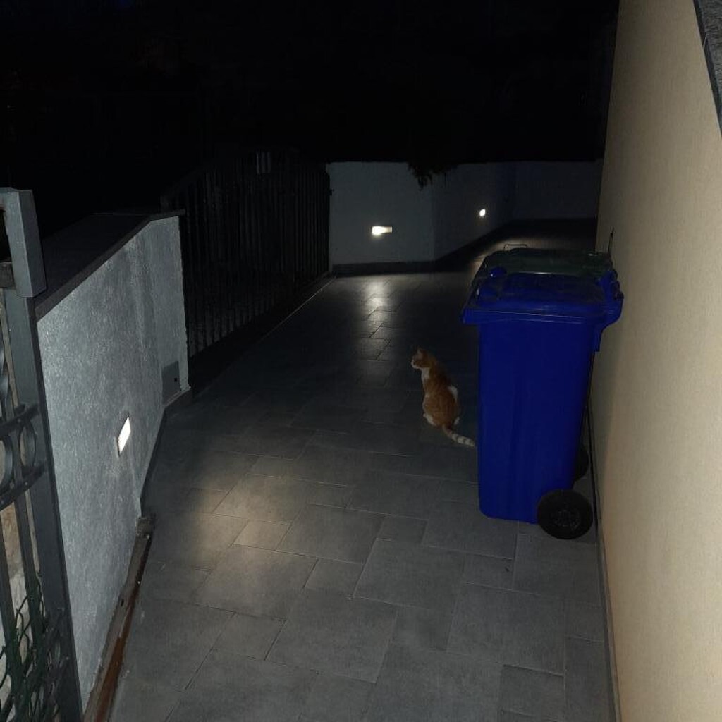 Image 3810990 - 8