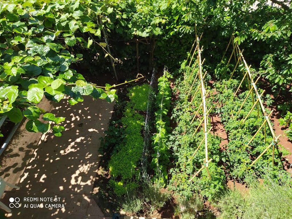 Image 3810893 - 27