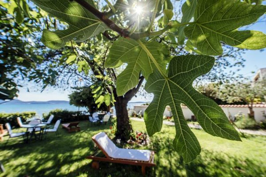 Image 3811817 - 28