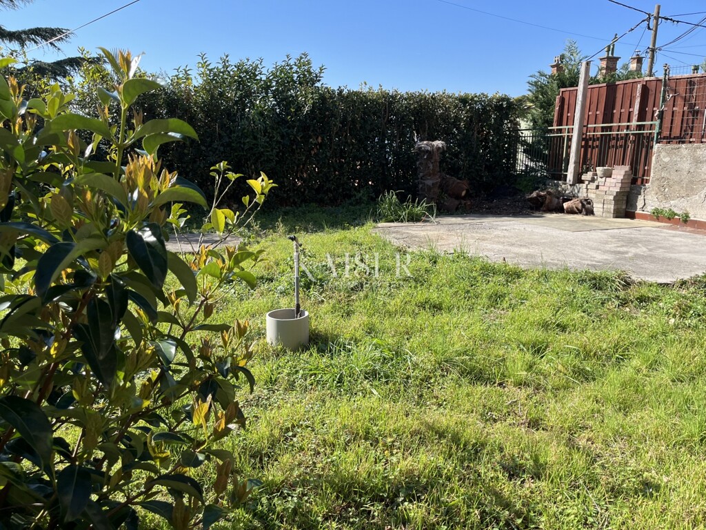 Image 23