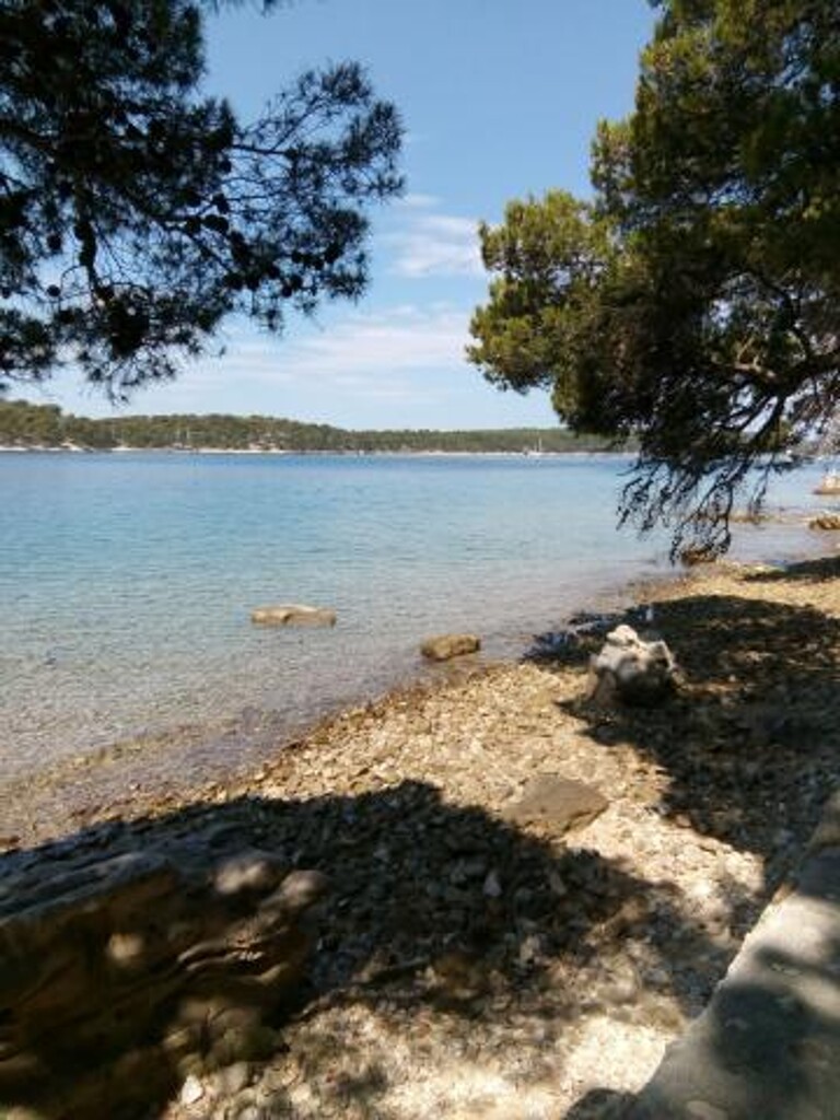 Image 3815052 - 11